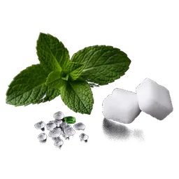 Menthol & Camphor