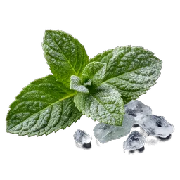 Menthol